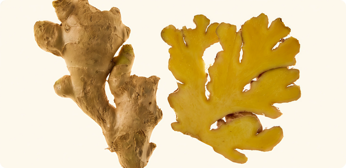 Ginger