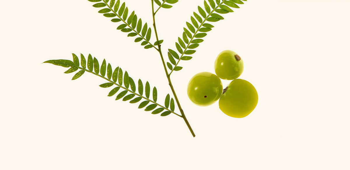 Amla